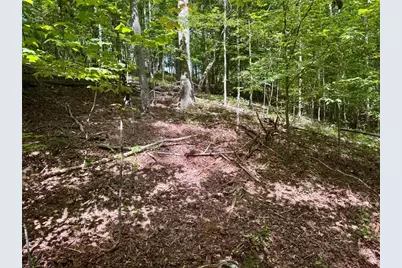 Lot 5 Fowler Creek Drive, Cleveland, GA 30528 - Photo 24