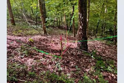 Lot 5 Fowler Creek Drive, Cleveland, GA 30528 - Photo 26