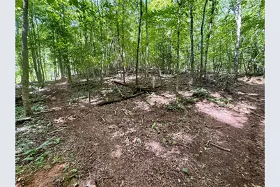 Lot 5 Fowler Creek Drive, Cleveland, GA 30528 - Photo 40