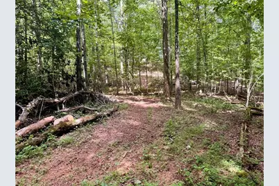 Lot 5 Fowler Creek Drive, Cleveland, GA 30528 - Photo 28