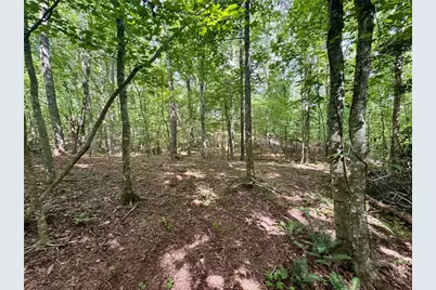 Lot 5 Fowler Creek Drive, Cleveland, GA 30528 - Photo 46