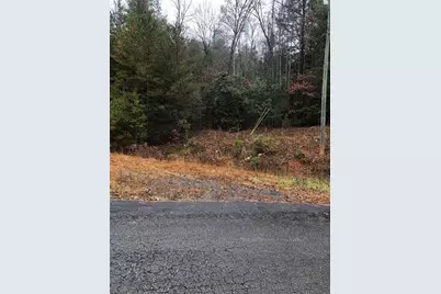 0 Flagpole Road, Ellijay, GA 30540 - Photo 4