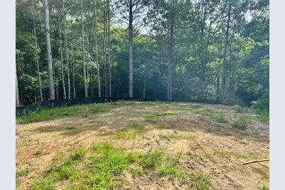 389 Timothy Drive, Dallas, GA 30132 - Photo 14