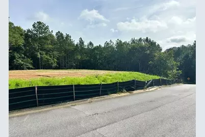 389 Timothy Drive, Dallas, GA 30132 - Photo 4