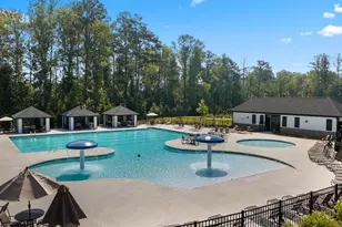 76 Mulberry Bush Dr, Loganville, GA 30052 - Photo 66