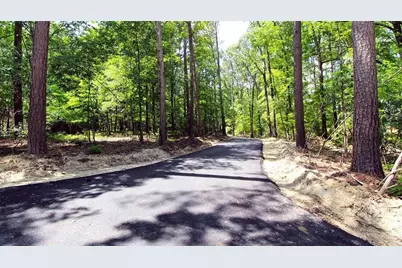 76 Mulberry Bush Drive, Loganville, GA 30052 - Photo 6