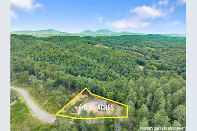 184 Mountain Laurel Ridge, Mineral Bluff, GA 30559 - Photo 24