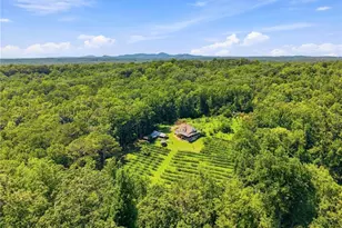 126 Kelso Rd, Jasper, GA 30143 - Photo 54