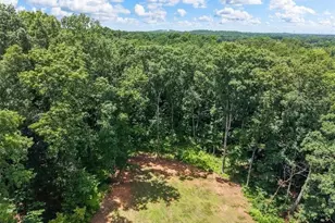 1335 County Line Rd NW, Acworth, GA 30101 - Photo 10