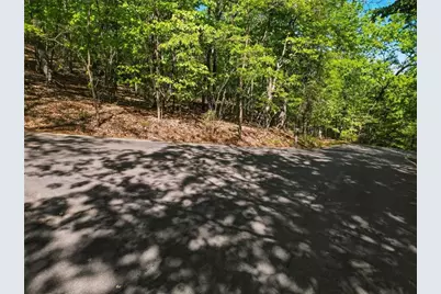1095 McElroy Mountain Drive, Big Canoe, GA 30143 - Photo 8