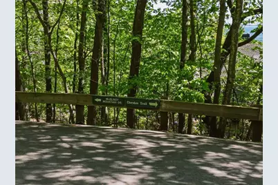 1095 McElroy Mountain Drive, Big Canoe, GA 30143 - Photo 2