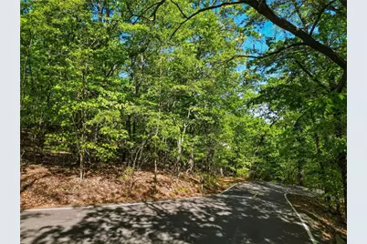 1095 McElroy Mountain Drive, Big Canoe, GA 30143 - Photo 4