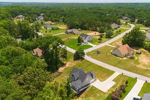 840 Smallwood Trace, Hampton, GA 30228 - Photo 8