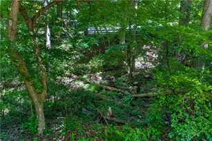 3955 Ineal Dr, Cumming, GA 30028 - Photo 84