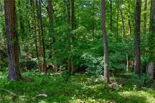 3955 Ineal Dr, Cumming, GA 30028 - Photo 82