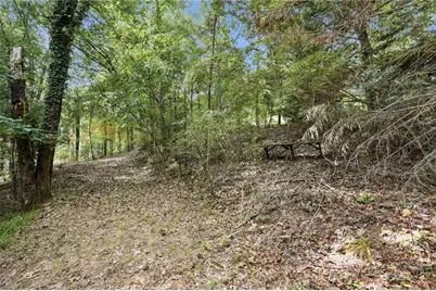 0 Chalet Circle, Dawsonville, GA 30534 - Photo 6