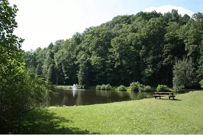 Lot730 Dawn Lane, Ellijay, GA 30540 - Photo 20