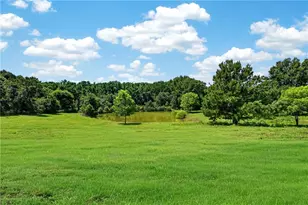 14155 Hwy 106, Carnesville, GA 30521 - Photo 42