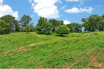 14155 Hwy 106, Carnesville, GA 30521 - Photo 44