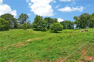 14155 Hwy 106, Carnesville, GA 30521 - Photo 44
