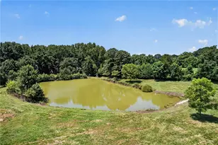 14155 Hwy 106, Carnesville, GA 30521 - Photo 62