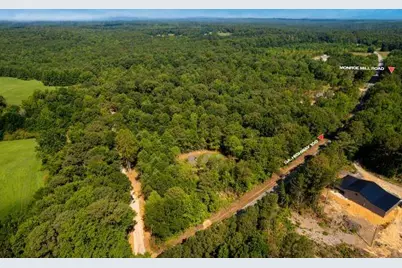 Tract1 Georgia Highway 100, Buchanan, GA 30113 - Photo 40