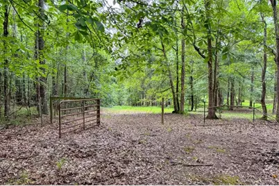316 Biltmore Road, Mansfield, GA 30055 - Photo 62