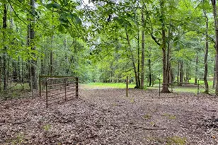 316 Biltmore Rd, Mansfield, GA 30055 - Photo 62