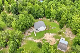 316 Biltmore Rd, Mansfield, GA 30055 - Photo 58