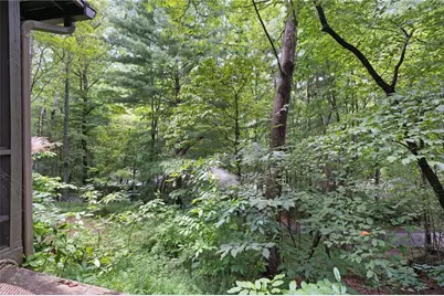 270 Buckskull Hollow Drive, Big Canoe, GA 30143 - Photo 38