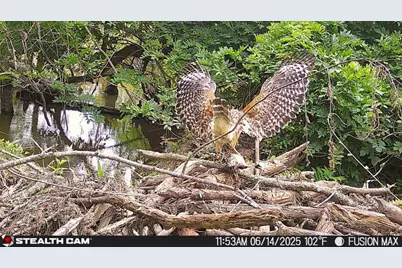 241 Nacoochee Drive, Woodstock, GA 30188 - Photo 52