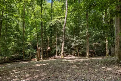 439 Nighthawk View, Demorest, GA 30535 - Photo 28
