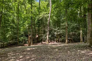 439 Nighthawk View, Demorest, GA 30535 - Photo 28
