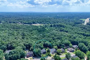 110 Ridge View Dr, Ball Ground, GA 30107 - Photo 70