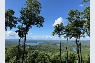 970 Lakeview Drive, Blue Ridge, GA 30513 - Photo 1