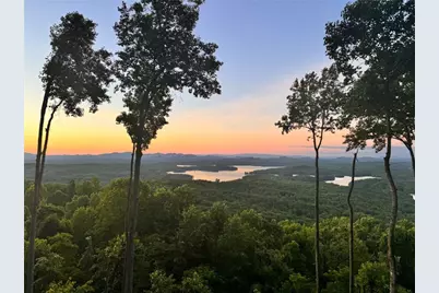 970 Lakeview Drive, Blue Ridge, GA 30513 - Photo 68