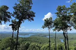 970 Lakeview Dr, Blue Ridge, GA 30513 - Photo 2