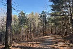 2081 Jerusalem Church Rd, Jasper, GA 30143 - Photo 16