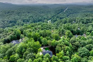 291 Aspen Ave, Ellijay, GA 30536 - Photo 4