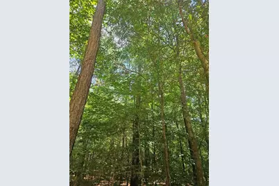 292 McCannon Tract 3A, Carlton, GA 30627 - Photo 12