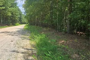 292 McCannon Tract 3A, Carlton, GA 30627 - Photo 1