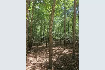 292 McCannon Tract 3A, Carlton, GA 30627 - Photo 4