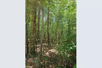 292 McCannon Tract 3A, Carlton, GA 30627 - Photo 8