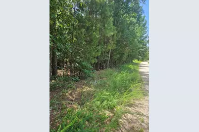 292 McCannon Tract 3A, Carlton, GA 30627 - Photo 2