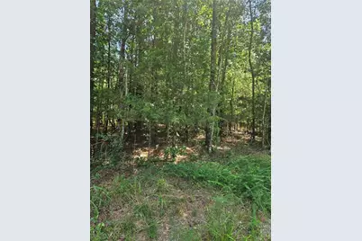 292 McCannon Tract 3A, Carlton, GA 30627 - Photo 10