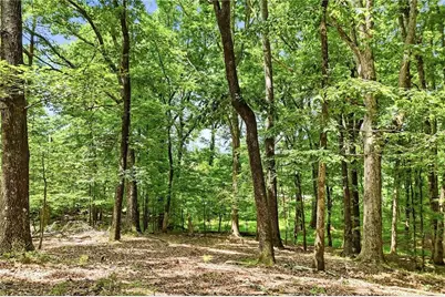 35 Quail Walk, Jasper, GA 30143 - Photo 38