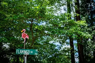 230 Flamingo Dr, Monticello, GA 31064 - Photo 62