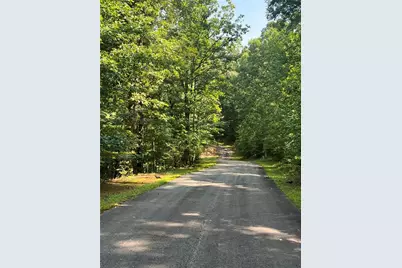 85 Via Massa, Dahlonega, GA 30533 - Photo 4