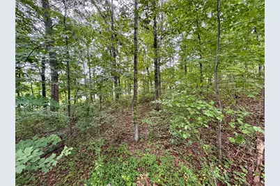 4205 Loftwood Drive, Cohutta, GA 30710 - Photo 10