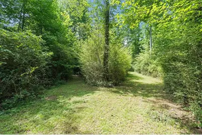 590 W Highway 5, Roopville, GA 30170 - Photo 46